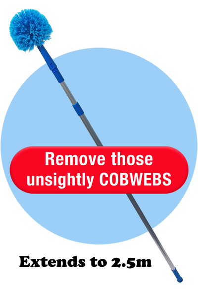 Cobweb Pole & Brush (Extends to 2.5m)